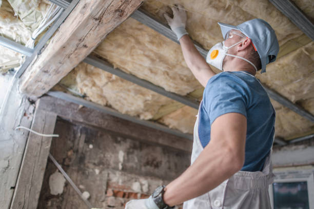 Best Insulation for Specific Applications in Long Beach, CA