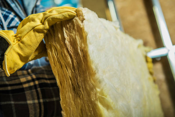 Best Insulation Maintenance and Repair in Long Beach, CA