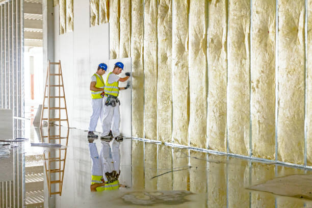 Best Commercial Insulation in Long Beach, CA